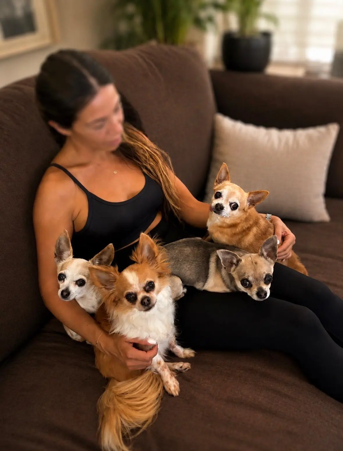Esra samen met Chihuahua’s bij Casa Chihuahua
